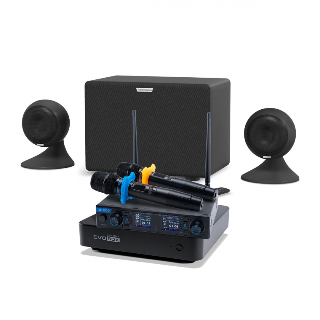 караоке-комплект EVOBOX + EvoSound Sphere 2.1 в Чулыме