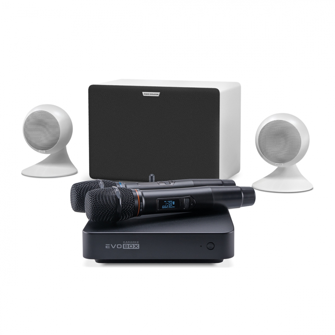 караоке-комплект EVOBOX Classic + EvoSound Sphere 2.1 в Чулыме