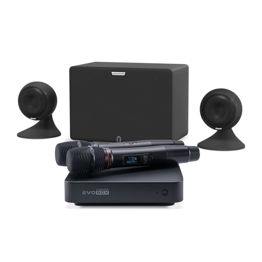 караоке-комплект EVOBOX Plus + EvoSound Sphere 2.1 в Чулыме