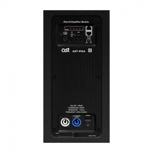 Активная акустическая система AST-310A в Чулыме