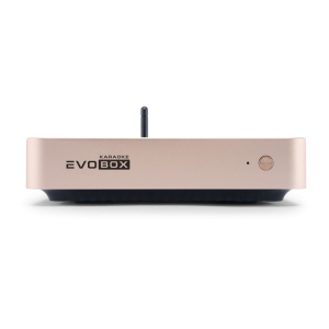 EVOBOX Classic караоке-система для дома в Чулыме