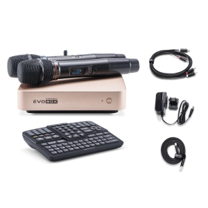 EVOBOX Classic караоке-система для дома в Чулыме