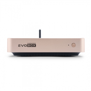 EVOBOX Plus караоке-система для дома в Чулыме