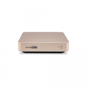 EVOBOX с микрофонами в Чулыме