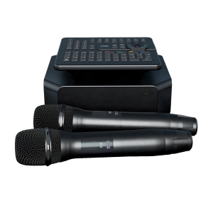 караоке-комплект для Дома AST ZOOM 1/2 и AST-SM6A в Чулыме